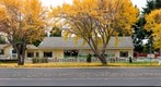 Autumn Colors of Ginkgo, Day Care - San Jose, California
