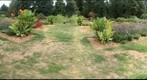 whereRU: Rutgers Gardens (Inside)