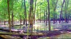 Panther Creek, Kentucky 29 05 08