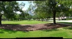 Big Bronze Walking Eye Flower - Magnificant Seven - Houston Celebrates Surls - Rice University