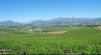 Stellenbosch - Uitzicht Farm