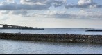 Throgs Neck Bridge and Little Bay Park