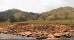 Rio Bravo - Cachoeira Paulista