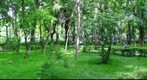 360 Panorama from Copou Park - Iasi