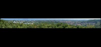 56946-400x189