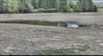 Snake River Pit Pond 5 Wetland Restoration