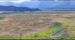 Aspen Hunter Hayfield Restoration
