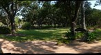 Rice University: Alice's Garden Gate (Alice Staub Liddell)