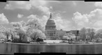 United States Capital