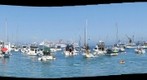 Avalon Harbor, Catalina Island, CA