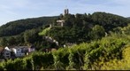 Wachtenburg Wachenheim