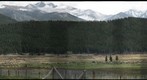 Moraine Park Meadow & Elk Herd