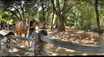 Pony Ride at Howarth Park