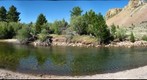 Walker River