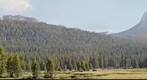 Toulumne Meadows looking towards Cathedral Peak