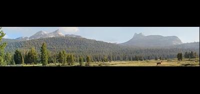 57347-400x189