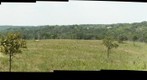 Soldiers Delight Serpentine Grassland