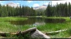 Yosemite Pond   LEFT image