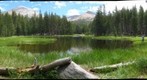 Yosemite Pond    RIGHT image