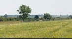  Polish Fields
