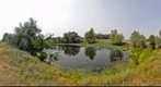 Near Sacred Lotus Lake, Nelumbo nucifera, 360 (Озеро лотоса орехоносного в Волго-ахтубинской пойме)