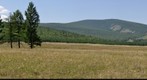 View of the Forest-steppe in Tuva, Russia