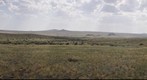 Steppe
