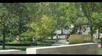sculpture park 