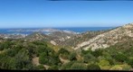 bodrum - yalikavak - turkiye - safak yavuzlar