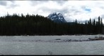 Jasper NP - Athabasca Falls
