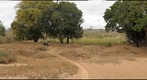 The riverbed at Lion Sands River Lodge, South Africa