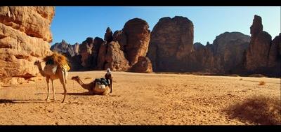 5774-400x189