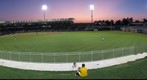 Springdale Naturals