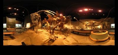 5776-400x189