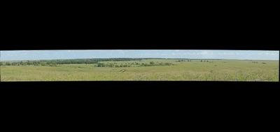 57841-400x189
