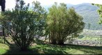 Il giardino a Poggiridenti