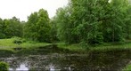 Botanical Garden Scenery #1