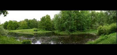 5793-400x189