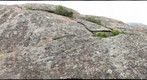 Namaqualand Rock Lichen