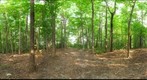 Dairy Bush GigaPan - 53 - Sept 01 2010
