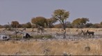 Etosha Namibia Waterhole