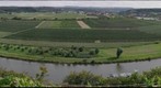 Moselle Meander