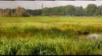 Bieslandsepolder Delft