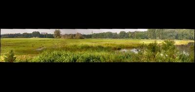 58209-400x189