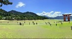 Island Myiajima, Torri of the famous Itsukushima Shrine