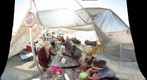 Fandango Bar Wide Angle (gf)