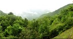 Kumano Kodo Ancient Pilgrimage Route