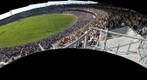 The Fremantle Dockers v Hawthorn