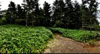 Trekking in the mountains near Yuno-ko