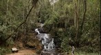 Cachoeira do sitio Urupes